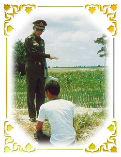 http://61.19.192.250/intra/Images/231.jpeg